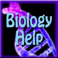 Biology Help